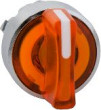 Schneider Electric Switch izpildmehānisms. oranža atsperes