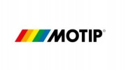 Motip PAINT MOTIP SILVER 955250 METALLIC