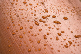 Pinotex TERRACE OIL PFLEGE WALLNUT 0