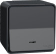 Schneider Electric Mureva stila poga ar