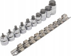 Milwaukee ASTA ZEMA PROFILA ligzdas HEX