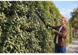 Greenworks Nożyce do żywopłotu 24V HT6102A1