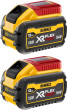 Dewalt Tabless Battery Set, 54V/216Wh (DCB5480XY2-XJ)