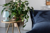Rituals Fatboy® Edison the Ambiance polāri