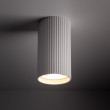 Griestu lampa TKKRYWULT TK Lighting Tune