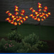 Maximex Solar dārza lampas. LED orhidejas