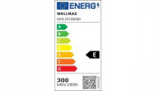 Naświetlacz Wellmax Naświetlacz LED 300W 100lm/W