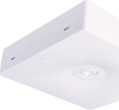 Intelight Emergency eye N/T Starlet QUAD