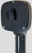 Charge Amps Luna Poleplate - Next