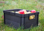 Keeper robusto transporta konteiners 20 L