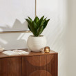 Atmosphera Artificial POSA agave dekoratīvā podiņā