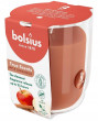 Bolsius Świeca aromatyczna szklana True Scents