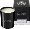 Lalique , Figuier Amalfi, Fig, Scented Candle