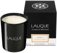 Lalique Neroli Casablanca Maroko Neroli Scented