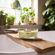 WoodWick Yuzu Vetiver Elipsa 453.6g