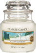 Yankee Candle Classic Small Jar aromātiskā