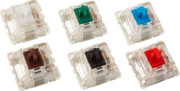 Glorious PC Gaming Race Gateron Black
