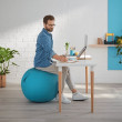 Leitz SEAT BALL LEITZ ERGO COZY