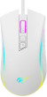 Mysz Havit MS1034 (MS1034)