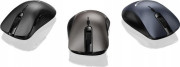 Genius Mouse Ergo 8100S Dzelzs pelēka