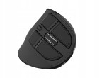 Mysz Natec Euphonie Pro czarna (NMY-2291)