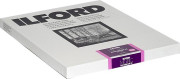Ilford 1x100 MG RC DL 1M