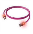 Easylan EasyLan S/FTP DualBoot LED plākstera
