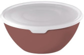 Rotho BOWL WITH LID 8L CARUBA