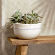 Villeroy & Boch VB-Miska wysoka 22