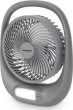 Blaupunkt APF301 Pārnēsājams pelēks [szary]