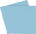 Thermal Grizzly Minus Pad Pro 100