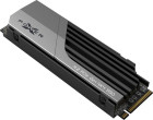Silicon Power Silicon NVMe SSD (SP01KGBP44XS7005)