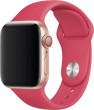 Devia Deluxe sporta siksniņa Apple Watch