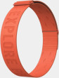 Coros (BAND.HRM-ORG)