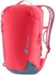Deuter Universal Gravity Pitch 12 hibiskus-grafīts