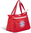 Igloo Torba IGLOO Carry Bag FC