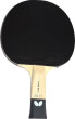 Tauriņa rakete Timo Bolls [Butterfly Rakietka