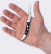 Bestech Knives Nóż Składany Case Rogers