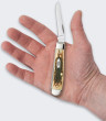 LionSteel Knives Nóż Składany Case Mini
