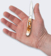 LionSteel Knives Nóż Składany Case Peanut