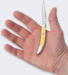 LionSteel Knives Nóż Składany Case Small
