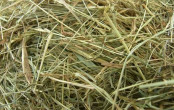 FARM WĘGROWSKIE DABĪGĀ SIENA IEPAKOJUMS 5x0