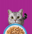 Whiskas Zivju gardumi želejā mitrā kaķu