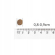 Baltica NUTRACEUTIC Hypoallergenic Puppy Lamb &