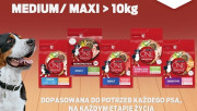 TriTon PURINA ONE MEDMAXADL DD Liellopu