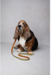 Flamingo Dog leash Virginia green 1