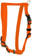 Barry King Dog zirglietas. oranža. L-XL