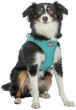 Trixie UrbanVest suņiem S: 45–48 cm/20