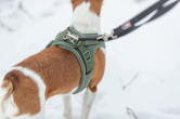 Trixie UrbanVest suņiem XXS–XS: 34–37 cm/15