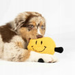 COOCKOO Bouncy Buddy żółta 17cm (309/488485)